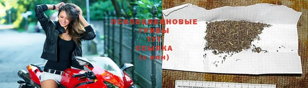 кокс Алзамай